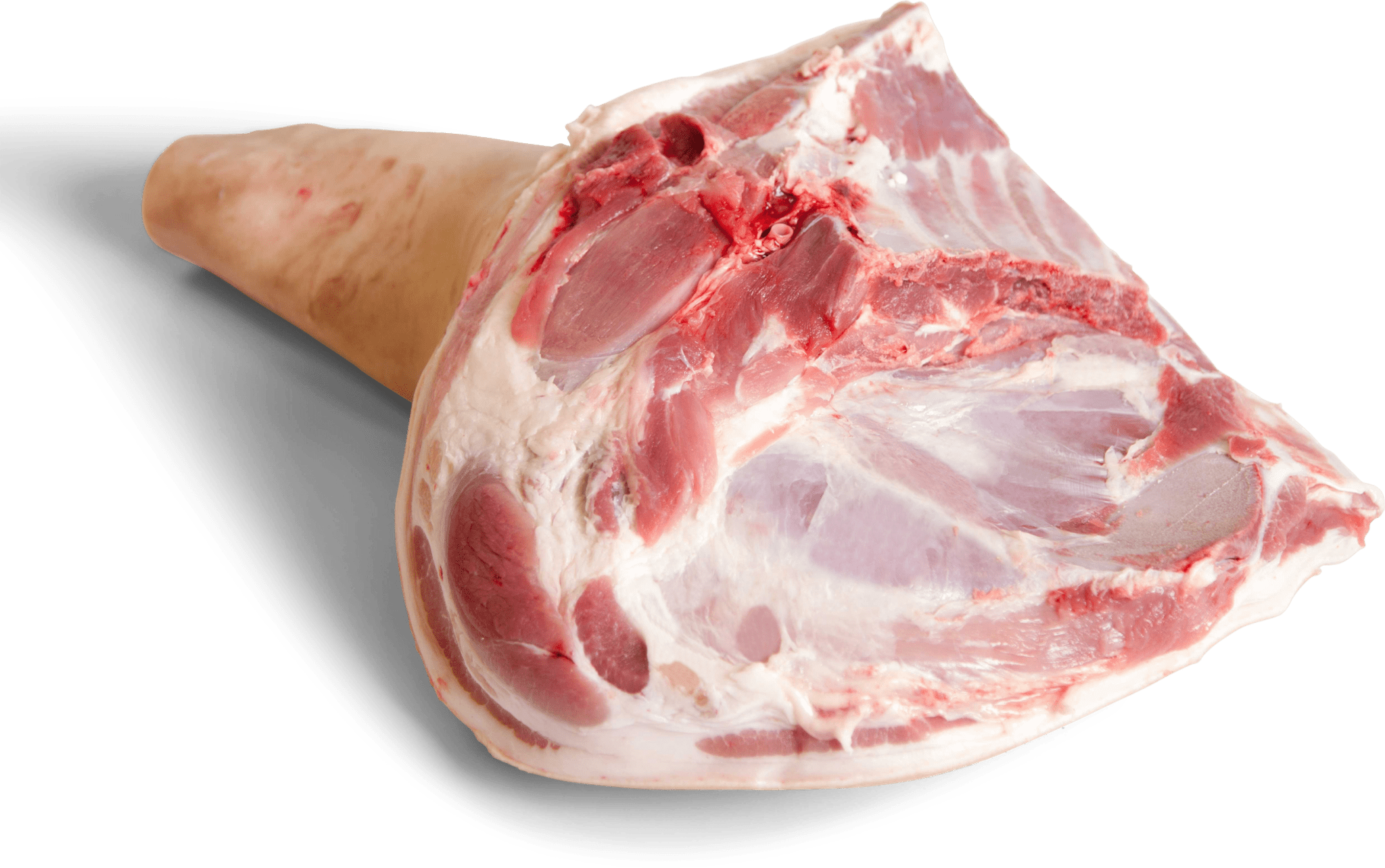 C1005-Schouder-W-G-1-2048x1284-2.png Wholesale Pork Shoulder - Image 1
