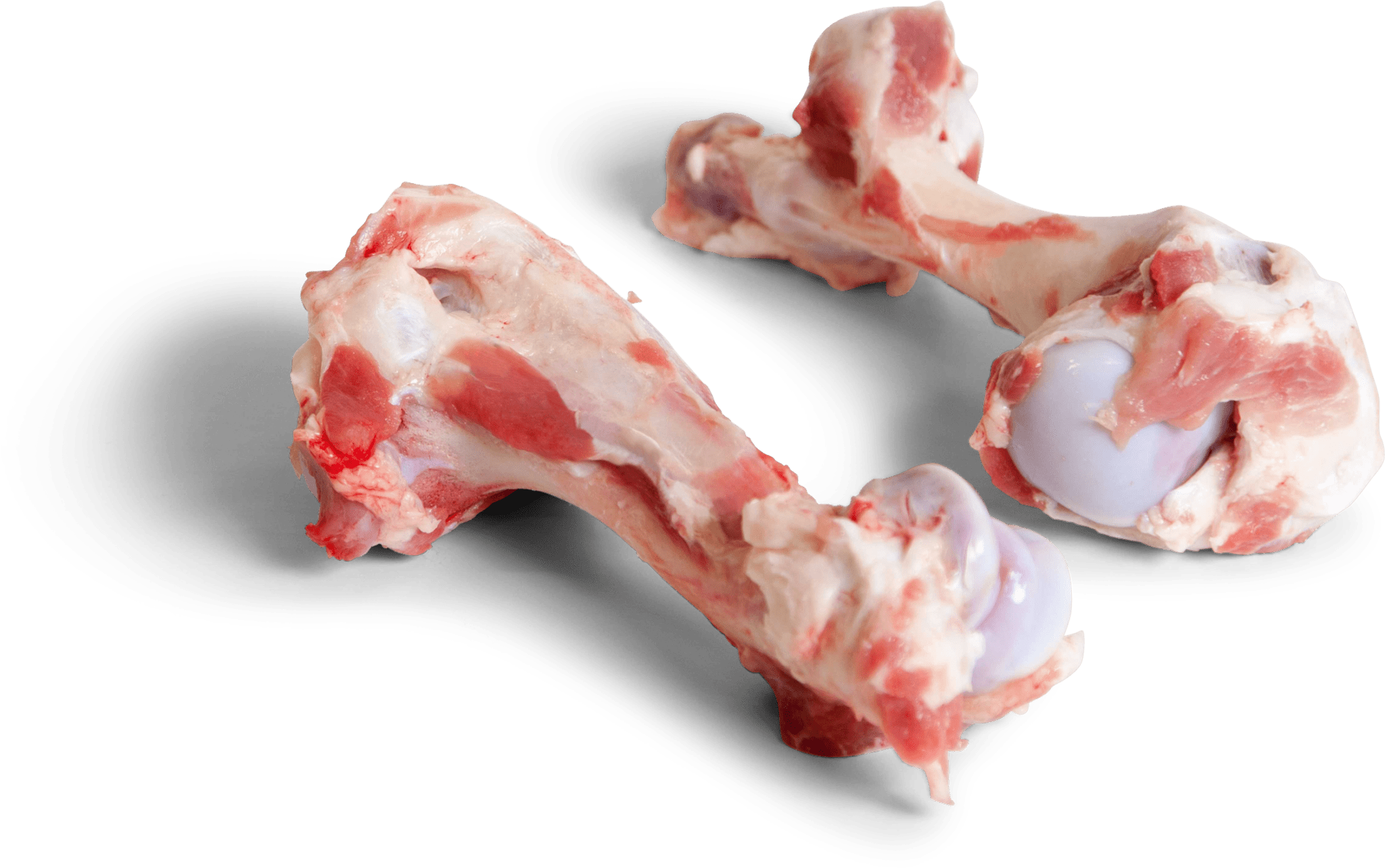 C1028-Boegpijp-2048x1284-2.png Frozen Pork Humerus Bone - Image 1