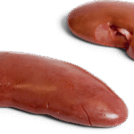 Frozen Pork Kidney