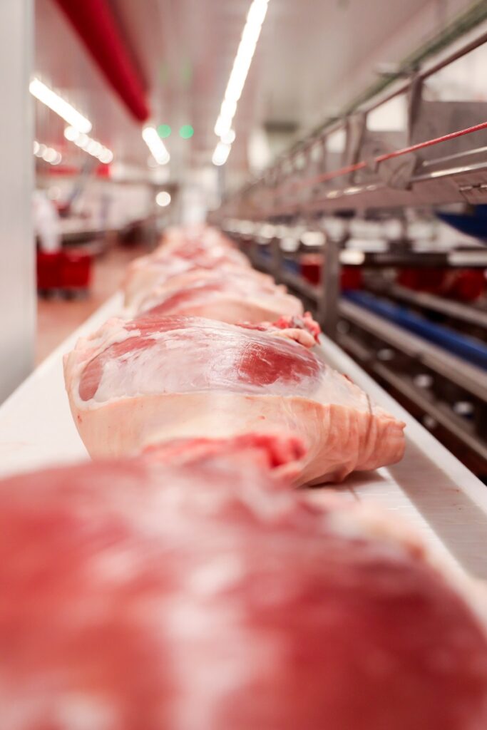 Meat processing line at Litera Meat