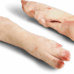 Frozen Pork Hind feet Long Cut