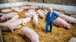 Sustainable Fresh Pork Production at Scale